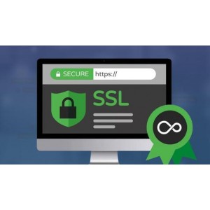 SSL证书 高级版