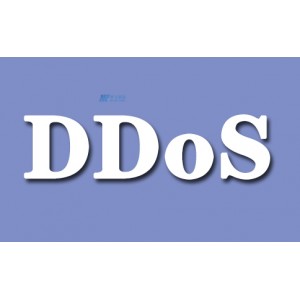 DDoS 防护网络 100T